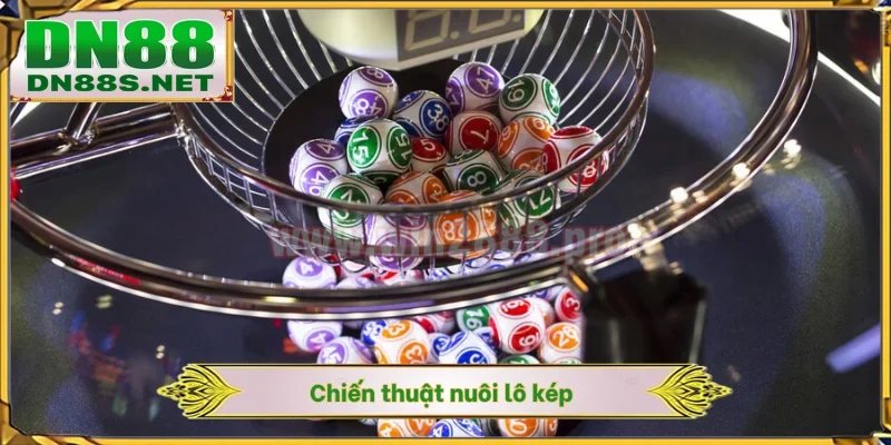 Chiến thuật nuôi lô kép